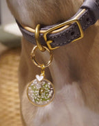 Bridal Dog Tags