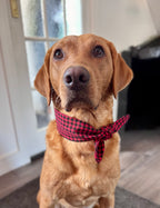 Pet Neck Tie Red & black check
