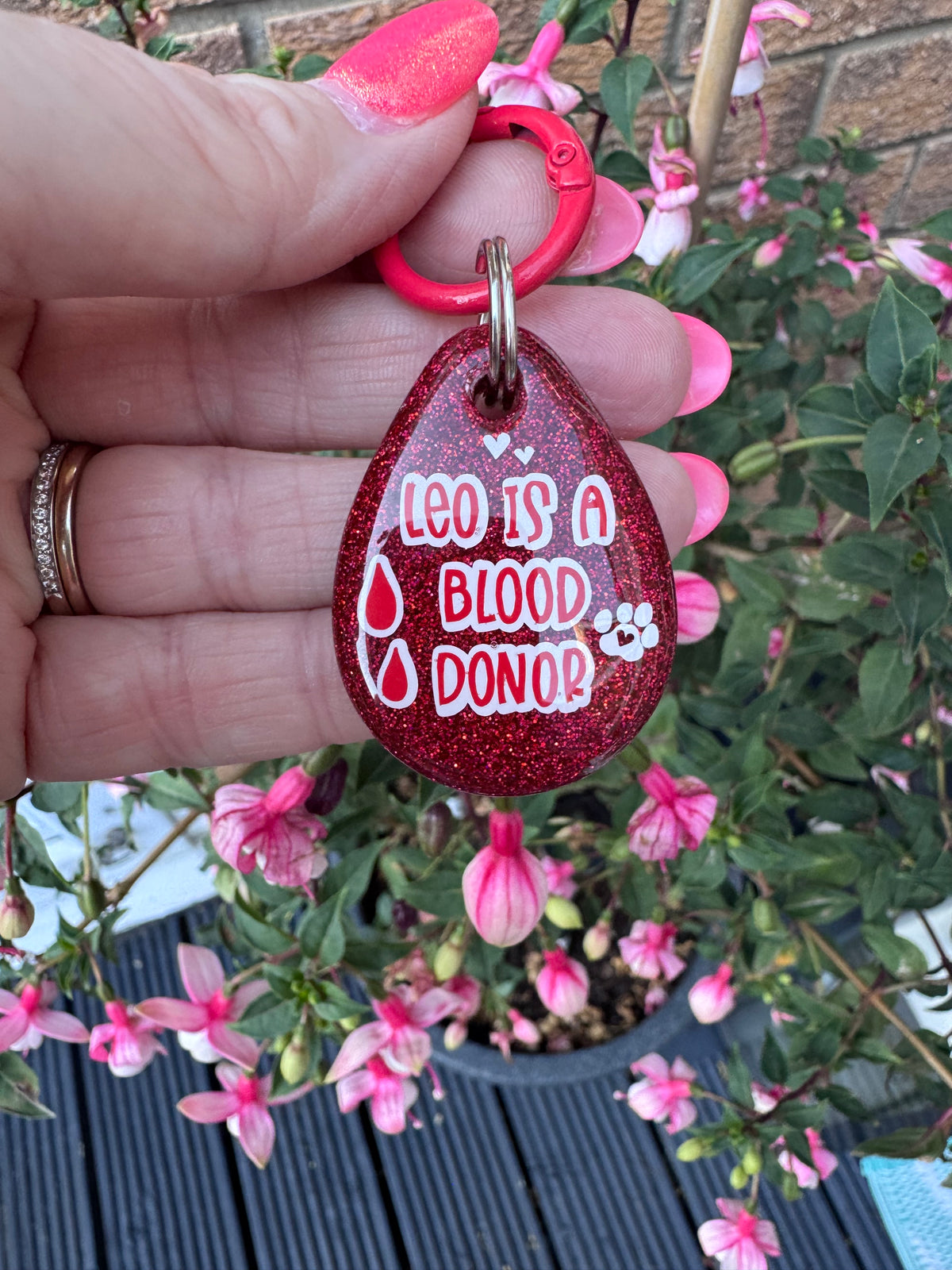 Doggy Blood donor tag