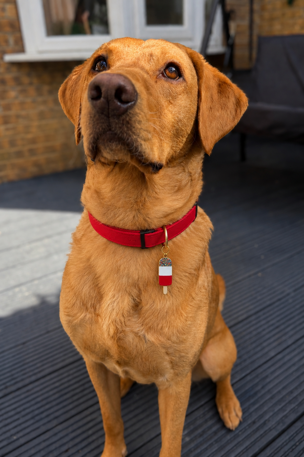 Ice Lolly & ice cream dog tag