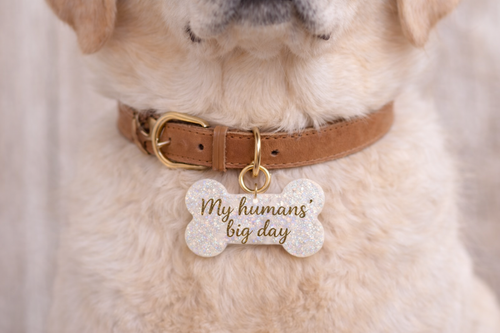 Bridal Dog Tags