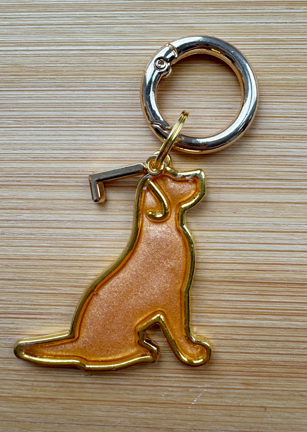 Labrador gold frame Tag
