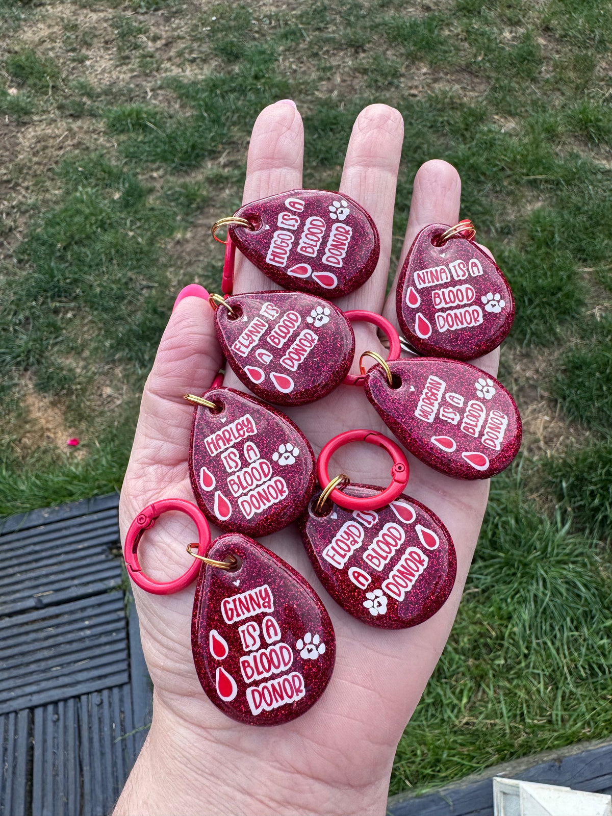 Doggy Blood donor tag