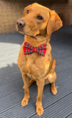 Handmade Dog or Cat Bow - Sailor Bow or Bow tie - Red Tartan