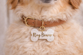 Bridal Dog Tags