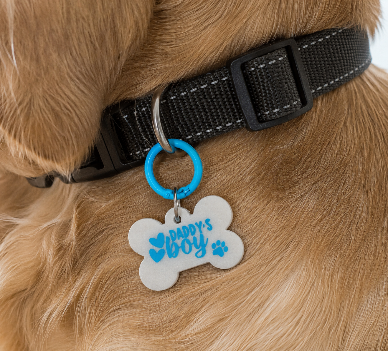 Fathers Day Dog Tag