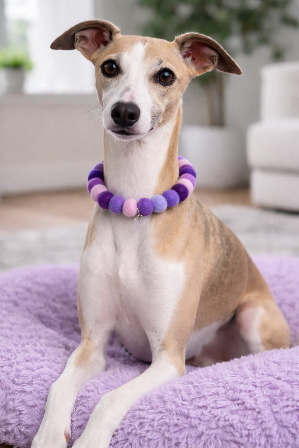 Handmade Pom Pom Collar